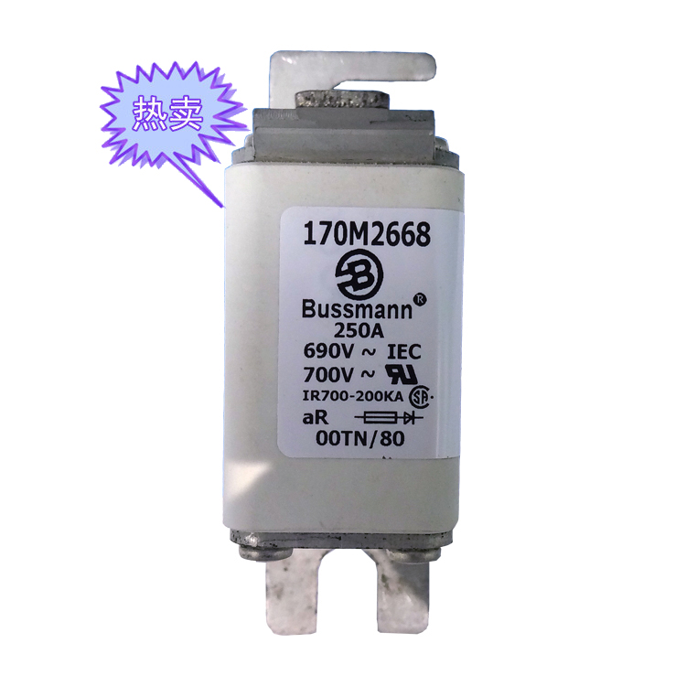 快速熔斷器170M2668（250A）
